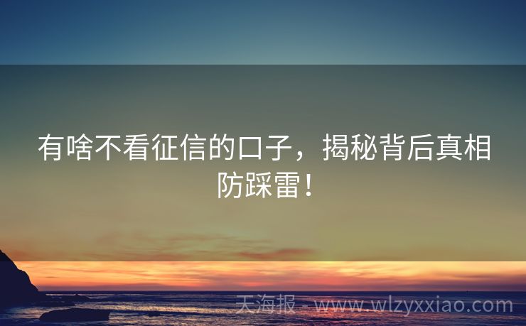 有啥不看征信的口子，揭秘背后真相防踩雷！