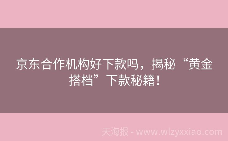 京东合作机构好下款吗，揭秘“黄金搭档”下款秘籍！