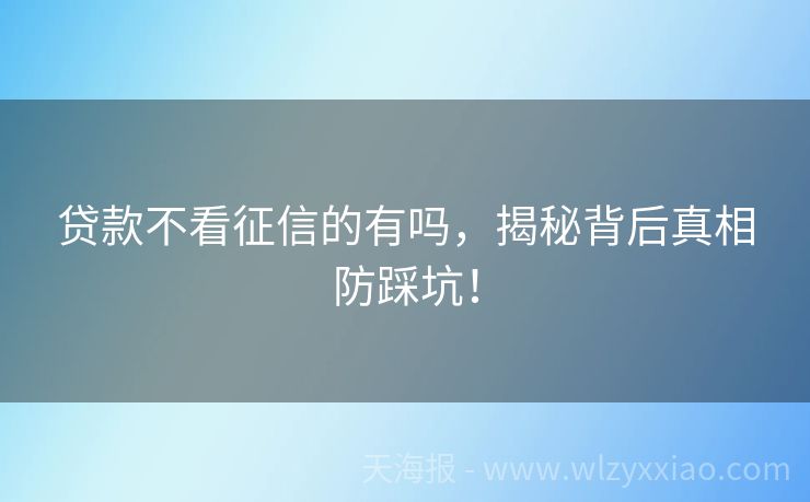 贷款不看征信的有吗，揭秘背后真相防踩坑！
