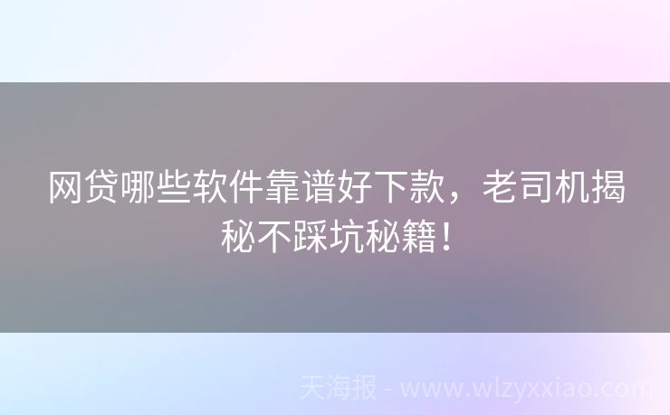 网贷哪些软件靠谱好下款，老司机揭秘不踩坑秘籍！