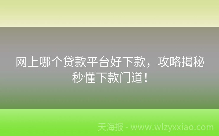网上哪个贷款平台好下款，攻略揭秘秒懂下款门道！