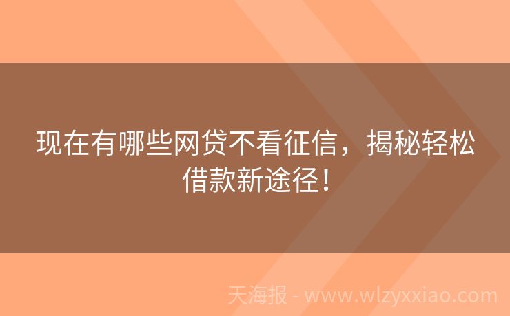 现在有哪些网贷不看征信，揭秘轻松借款新途径！