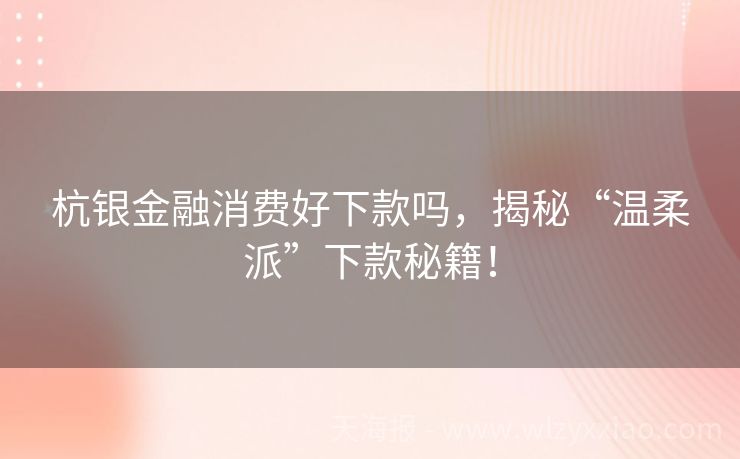杭银金融消费好下款吗，揭秘“温柔派”下款秘籍！