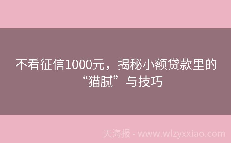 不看征信1000元，揭秘小额贷款里的“猫腻”与技巧