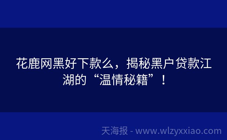 花鹿网黑好下款么，揭秘黑户贷款江湖的“温情秘籍”！