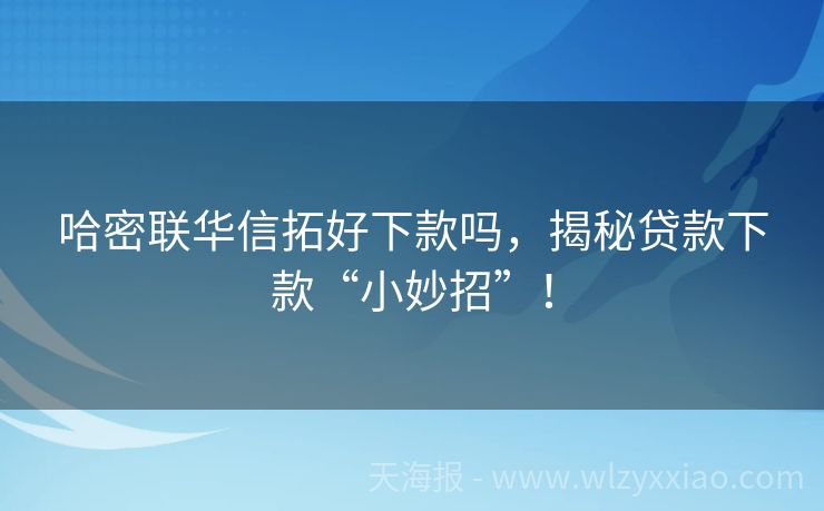 哈密联华信拓好下款吗，揭秘贷款下款“小妙招”！