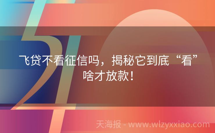 飞贷不看征信吗，揭秘它到底“看”啥才放款！