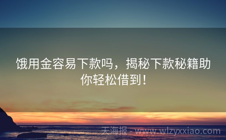 饿用金容易下款吗，揭秘下款秘籍助你轻松借到！