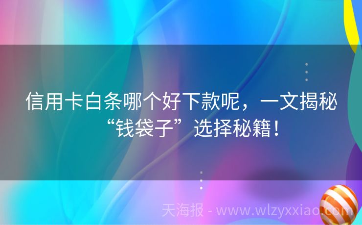 信用卡白条哪个好下款呢，一文揭秘“钱袋子”选择秘籍！