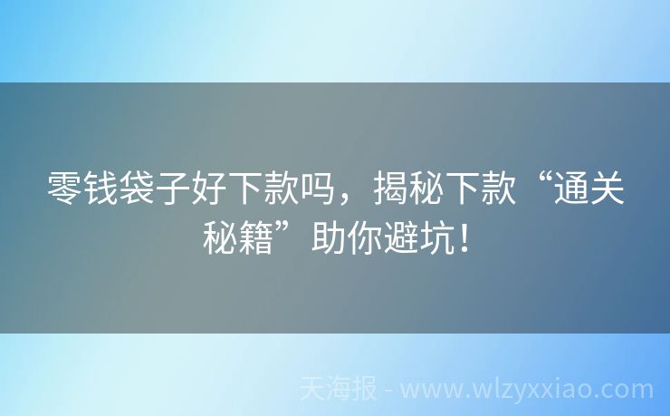 零钱袋子好下款吗，揭秘下款“通关秘籍”助你避坑！