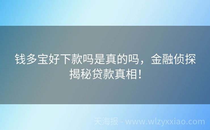 钱多宝好下款吗是真的吗，金融侦探揭秘贷款真相！