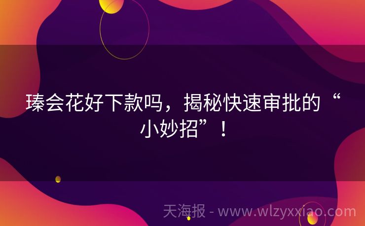 瑧会花好下款吗，揭秘快速审批的“小妙招”！