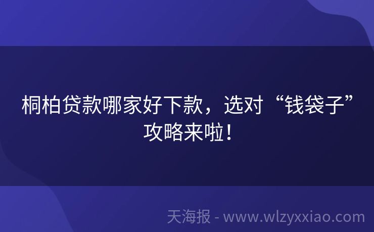 桐柏贷款哪家好下款，选对“钱袋子”攻略来啦！