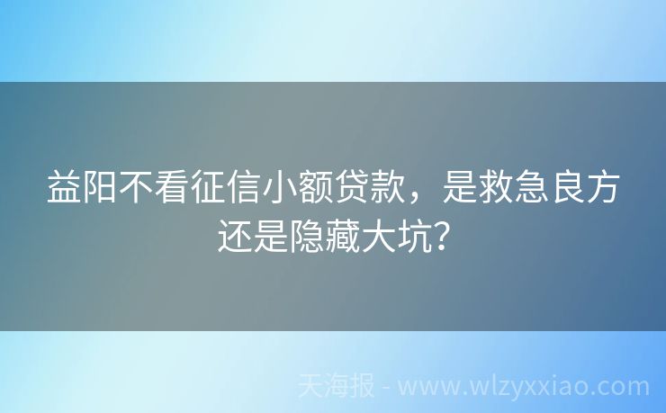 益阳不看征信小额贷款，是救急良方还是隐藏大坑？