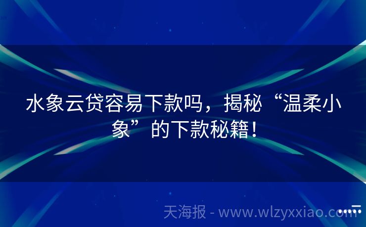 水象云贷容易下款吗，揭秘“温柔小象”的下款秘籍！