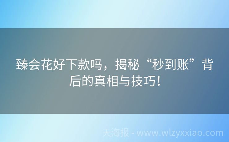 臻会花好下款吗，揭秘“秒到账”背后的真相与技巧！