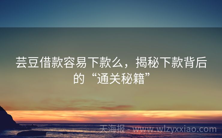 芸豆借款容易下款么，揭秘下款背后的“通关秘籍”
