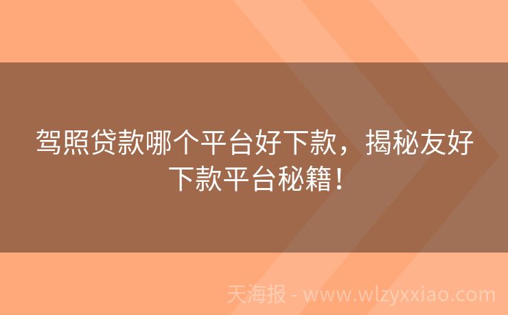 驾照贷款哪个平台好下款，揭秘友好下款平台秘籍！