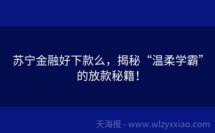 苏宁金融好下款么，揭秘“温柔学霸”的放款秘籍！