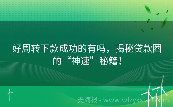 好周转下款成功的有吗，揭秘贷款圈的“神速”秘籍！