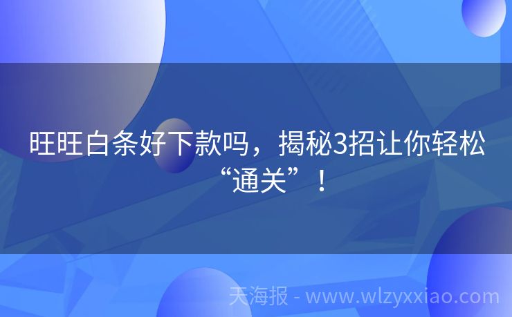 旺旺白条好下款吗，揭秘3招让你轻松“通关”！