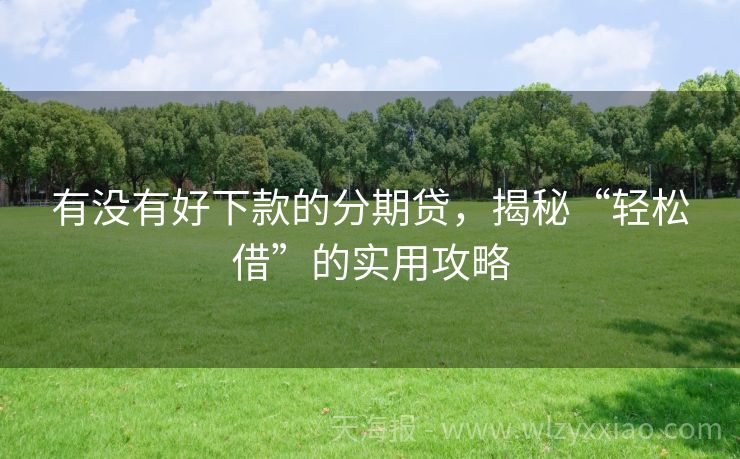 有没有好下款的分期贷，揭秘“轻松借”的实用攻略