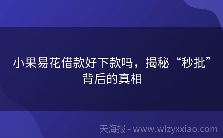 小果易花借款好下款吗，揭秘“秒批”背后的真相