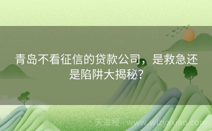 青岛不看征信的贷款公司，是救急还是陷阱大揭秘？