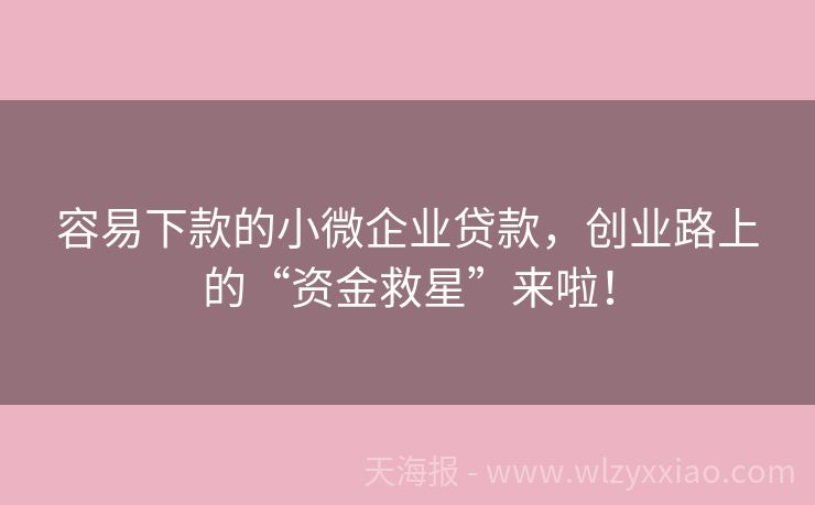 容易下款的小微企业贷款，创业路上的“资金救星”来啦！