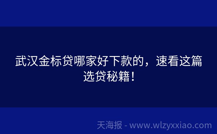 武汉金标贷哪家好下款的，速看这篇选贷秘籍！
