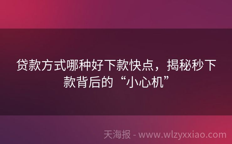 贷款方式哪种好下款快点，揭秘秒下款背后的“小心机”