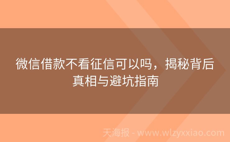 微信借款不看征信可以吗，揭秘背后真相与避坑指南