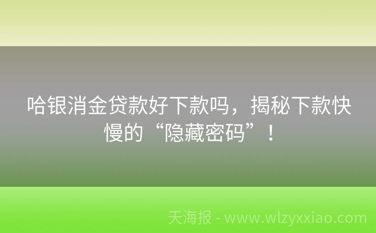哈银消金贷款好下款吗，揭秘下款快慢的“隐藏密码”！