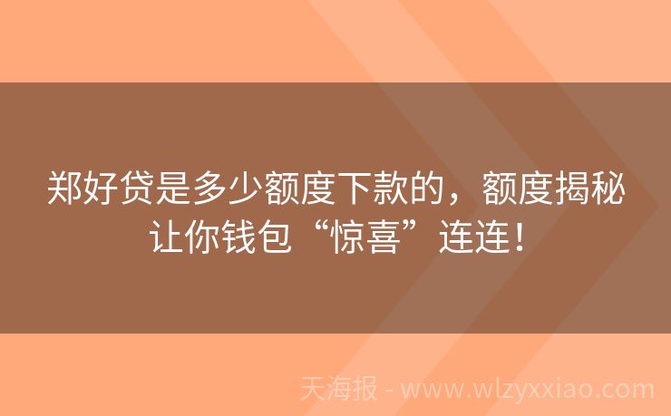郑好贷是多少额度下款的，额度揭秘让你钱包“惊喜”连连！