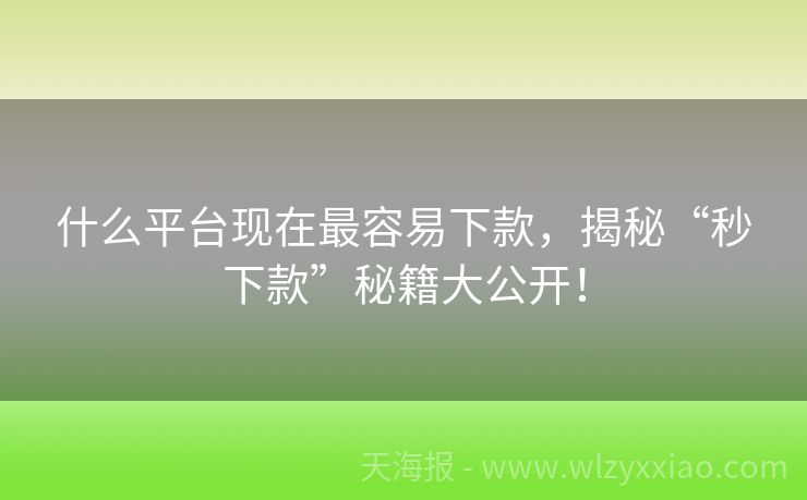 什么平台现在最容易下款，揭秘“秒下款”秘籍大公开！
