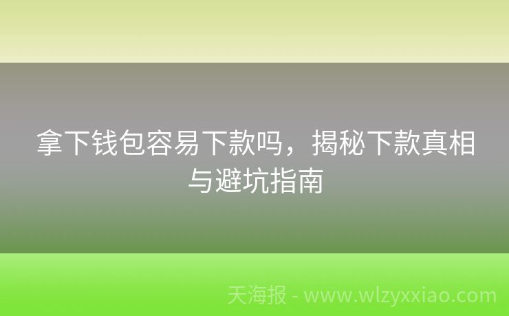 拿下钱包容易下款吗，揭秘下款真相与避坑指南