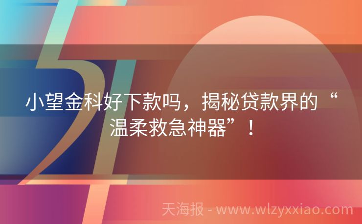 小望金科好下款吗，揭秘贷款界的“温柔救急神器”！