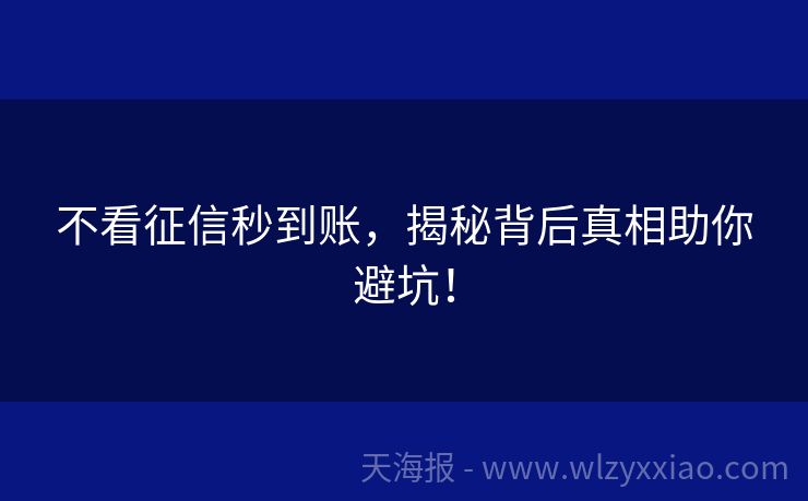 不看征信秒到账，揭秘背后真相助你避坑！