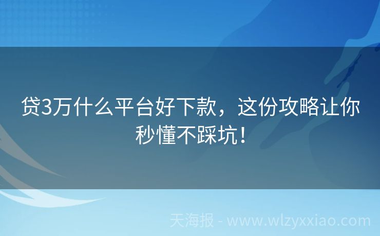 贷3万什么平台好下款，这份攻略让你秒懂不踩坑！