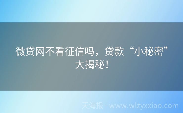 微贷网不看征信吗，贷款“小秘密”大揭秘！