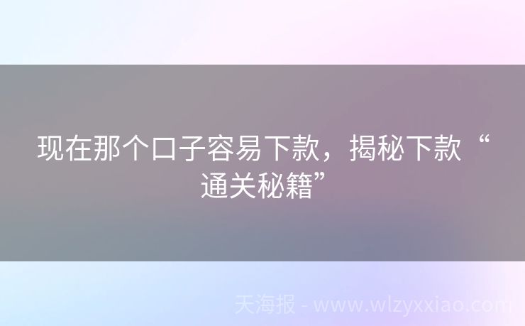 现在那个口子容易下款，揭秘下款“通关秘籍”