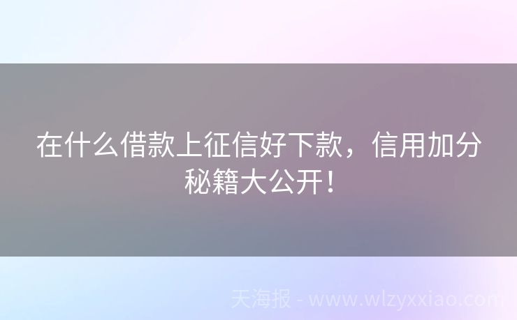 在什么借款上征信好下款，信用加分秘籍大公开！
