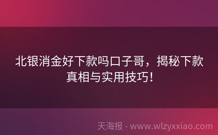北银消金好下款吗口子哥，揭秘下款真相与实用技巧！