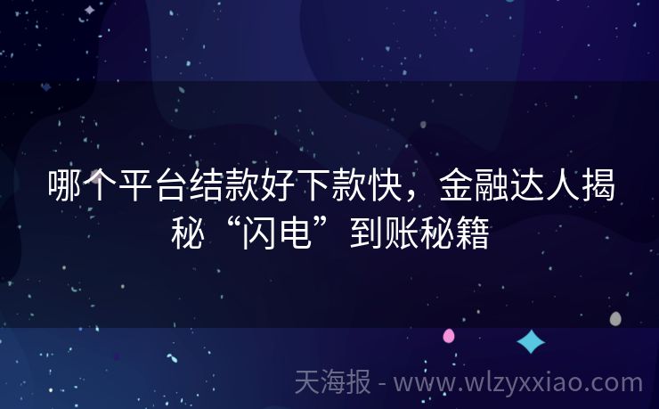 哪个平台结款好下款快，金融达人揭秘“闪电”到账秘籍