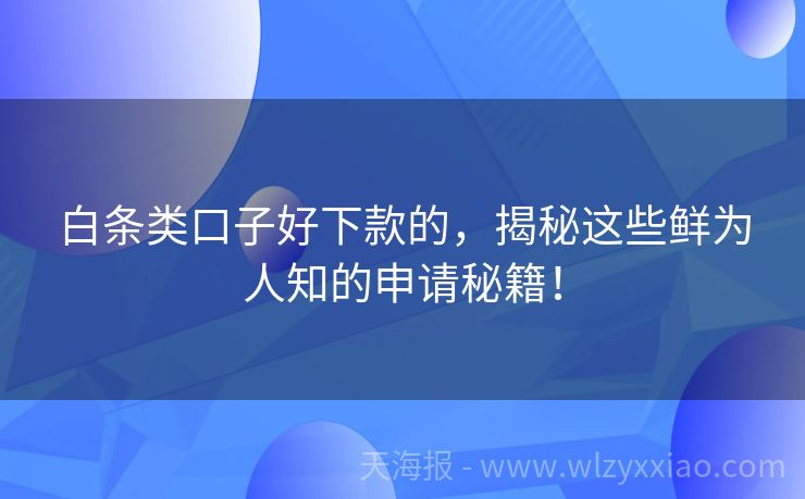 白条类口子好下款的，揭秘这些鲜为人知的申请秘籍！