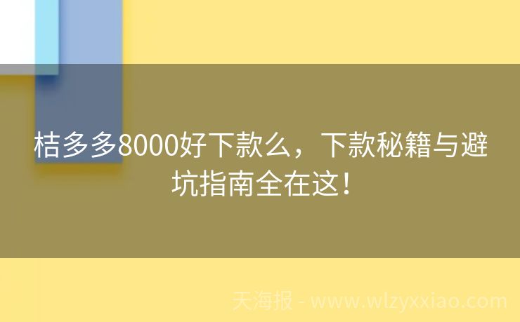 桔多多8000好下款么，下款秘籍与避坑指南全在这！