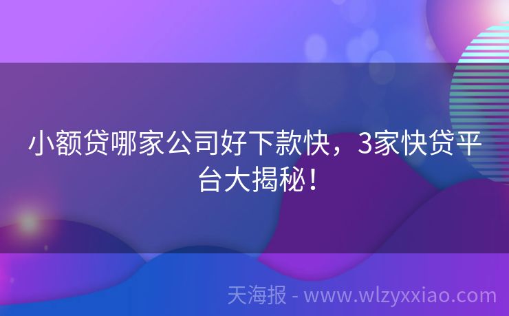 小额贷哪家公司好下款快，3家快贷平台大揭秘！