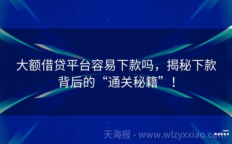大额借贷平台容易下款吗，揭秘下款背后的“通关秘籍”！