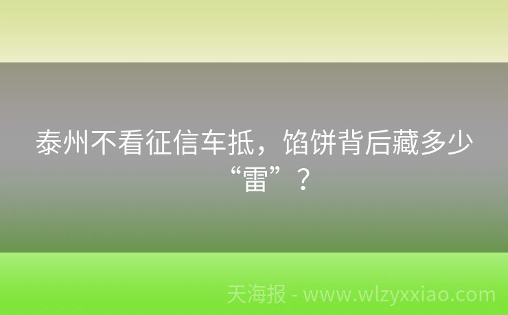 泰州不看征信车抵，馅饼背后藏多少“雷”？