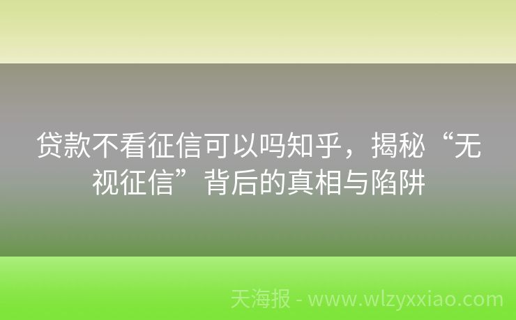 贷款不看征信可以吗知乎，揭秘“无视征信”背后的真相与陷阱
